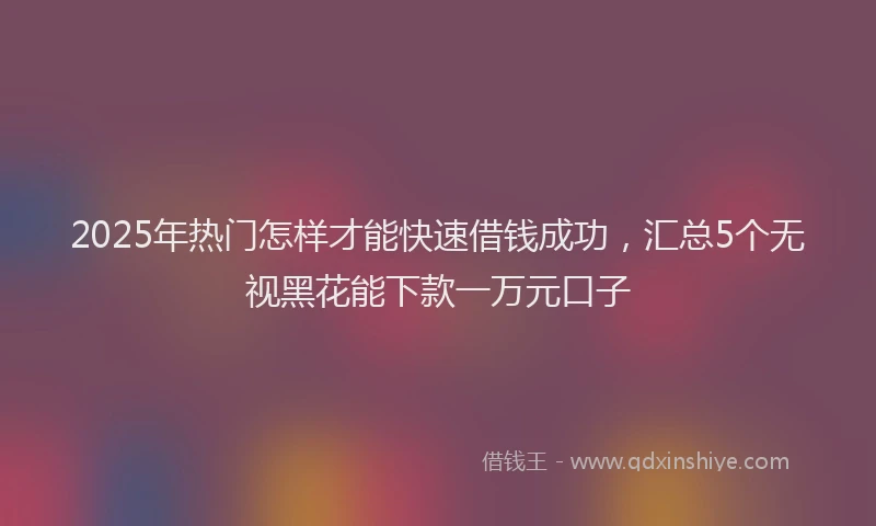 2025年热门怎样才能快速借钱成功，汇总5个无视黑花能下款一万元口子