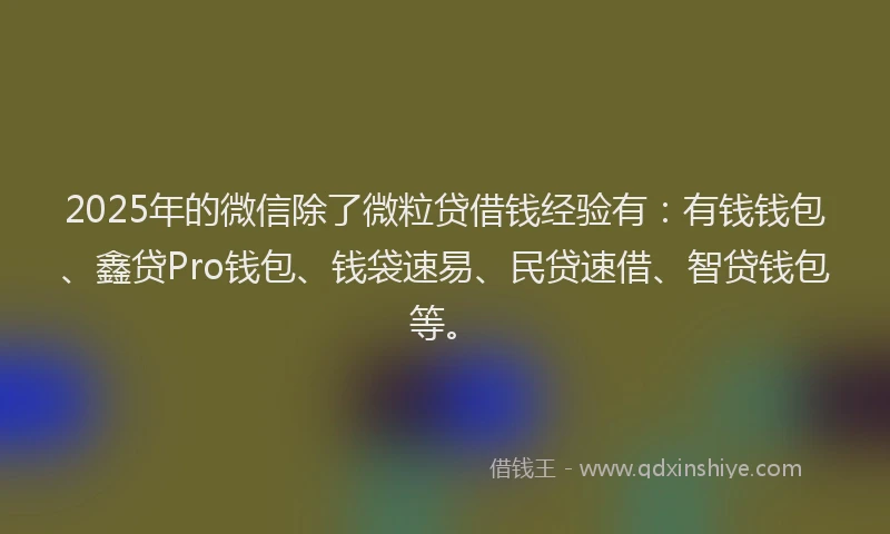 2025年的微信除了微粒贷借钱经验有：有钱钱包、鑫贷Pro钱包、钱袋速易、民贷速借、智贷钱包等。