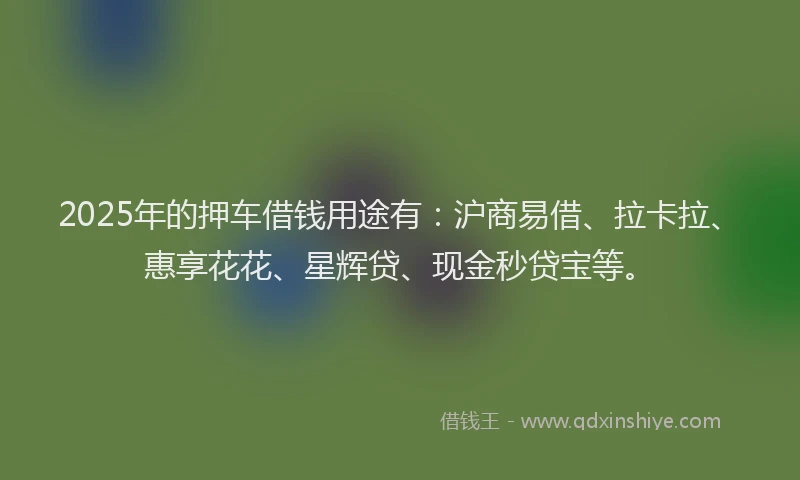 2025年的押车借钱用途有：沪商易借、拉卡拉、惠享花花、星辉贷、现金秒贷宝等。