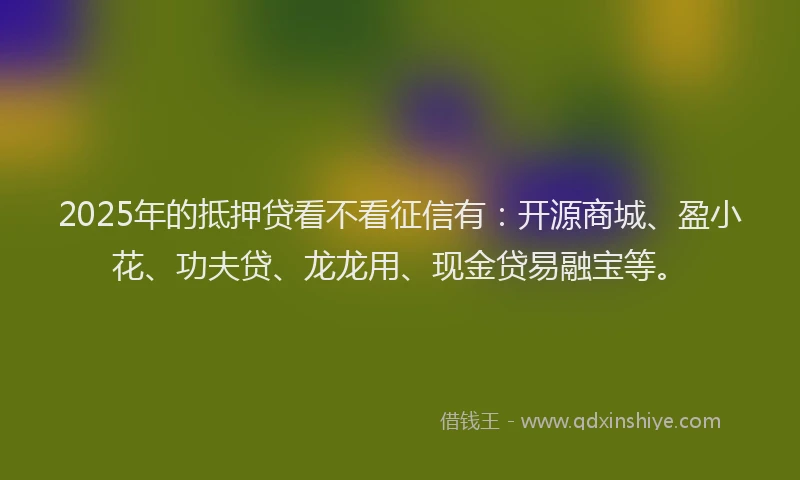2025年的抵押贷看不看征信有：开源商城、盈小花、功夫贷、龙龙用、现金贷易融宝等。