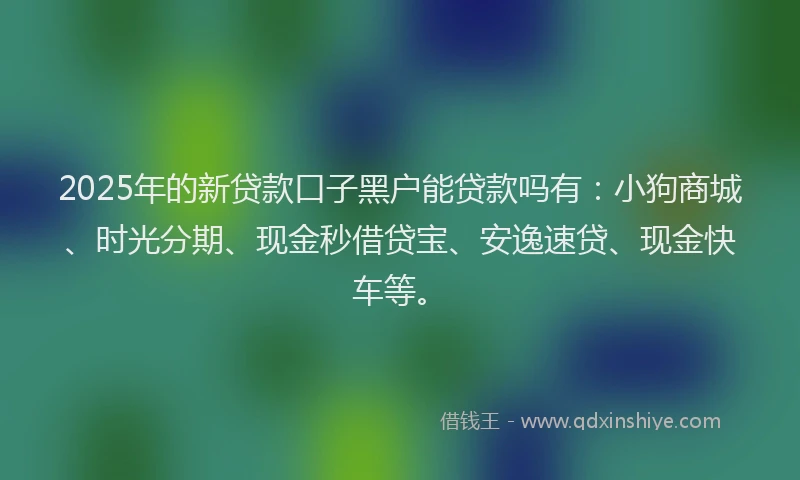 2025年的新贷款口子黑户能贷款吗有：小狗商城、时光分期、现金秒借贷宝、安逸速贷、现金快车等。