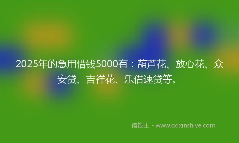 2025年的急用借钱5000有：葫芦花、放心花、众安贷、吉祥花、乐借速贷等。