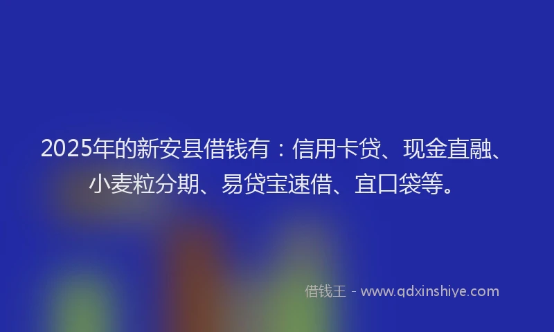 2025年的新安县借钱有：信用卡贷、现金直融、小麦粒分期、易贷宝速借、宜口袋等。