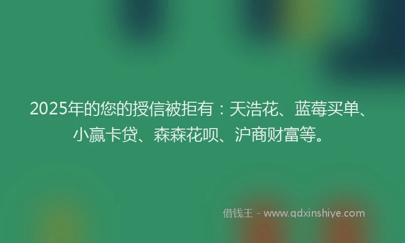 2025年的您的授信被拒有：天浩花、蓝莓买单、小赢卡贷、森森花呗、沪商财富等。