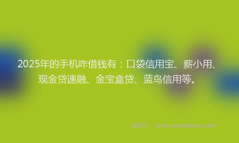 2025年的手机咋借钱有：口袋信用宝、薪小用、现金贷速融、金宝盒贷、蓝鸟信用等。