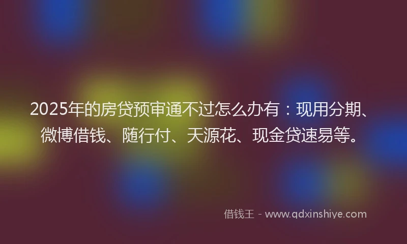 2025年的房贷预审通不过怎么办有：现用分期、微博借钱、随行付、天源花、现金贷速易等。
