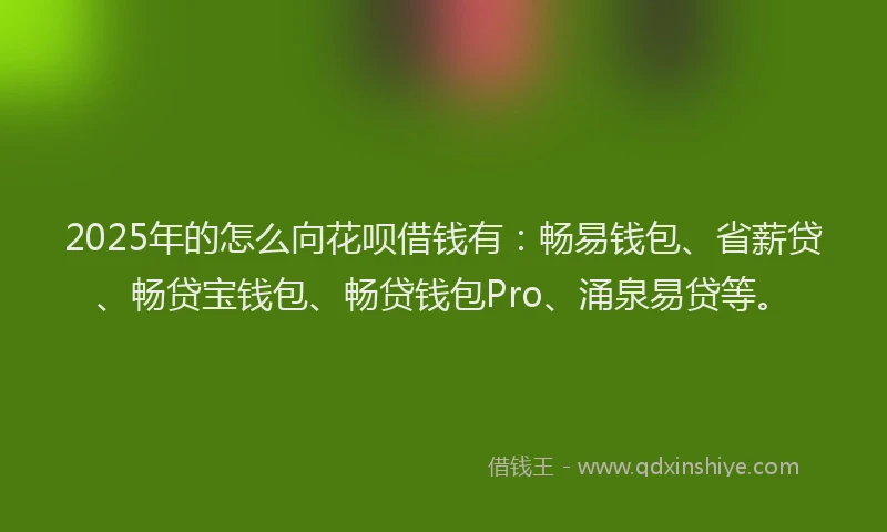 2025年的怎么向花呗借钱有：畅易钱包、省薪贷、畅贷宝钱包、畅贷钱包Pro、涌泉易贷等。