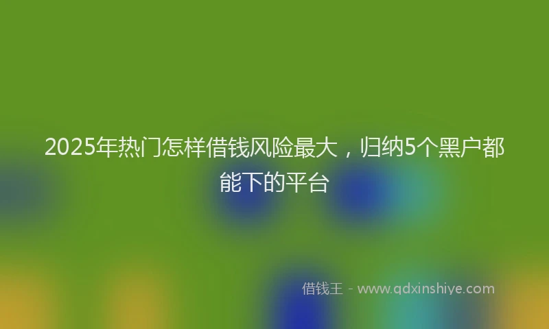 2025年热门怎样借钱风险最大，归纳5个黑户都能下的平台