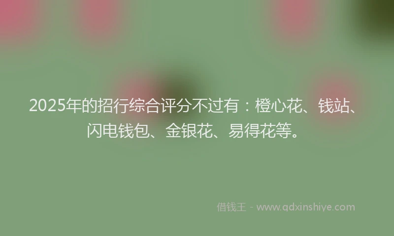 2025年的招行综合评分不过有：橙心花、钱站、闪电钱包、金银花、易得花等。