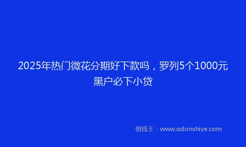 2025年热门微花分期好下款吗，罗列5个1000元黑户必下小贷