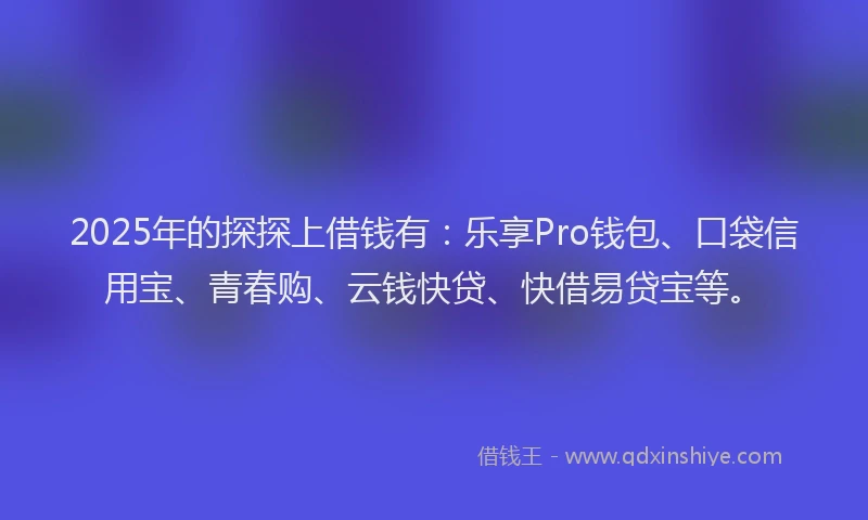 2025年的探探上借钱有：乐享Pro钱包、口袋信用宝、青春购、云钱快贷、快借易贷宝等。