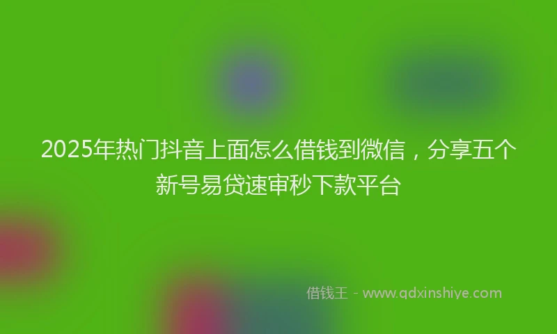 2025年热门抖音上面怎么借钱到微信，分享五个新号易贷速审秒下款平台