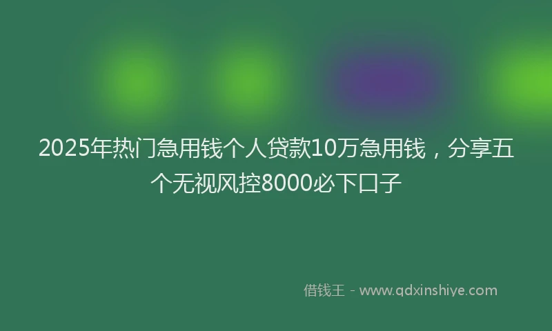 2025年热门急用钱个人贷款10万急用钱，分享五个无视风控8000必下口子