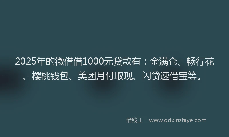 2025年的微借借1000元贷款有：金满仓、畅行花、樱桃钱包、美团月付取现、闪贷速借宝等。