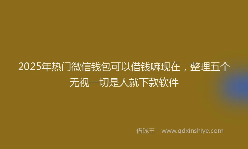 2025年热门微信钱包可以借钱嘛现在，整理五个无视一切是人就下款软件