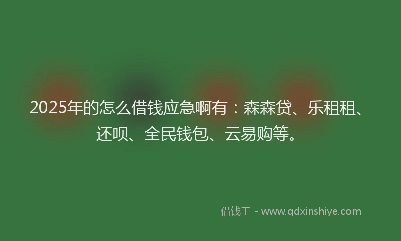 2025年的怎么借钱应急啊有：森森贷、乐租租、还呗、全民钱包、云易购等。