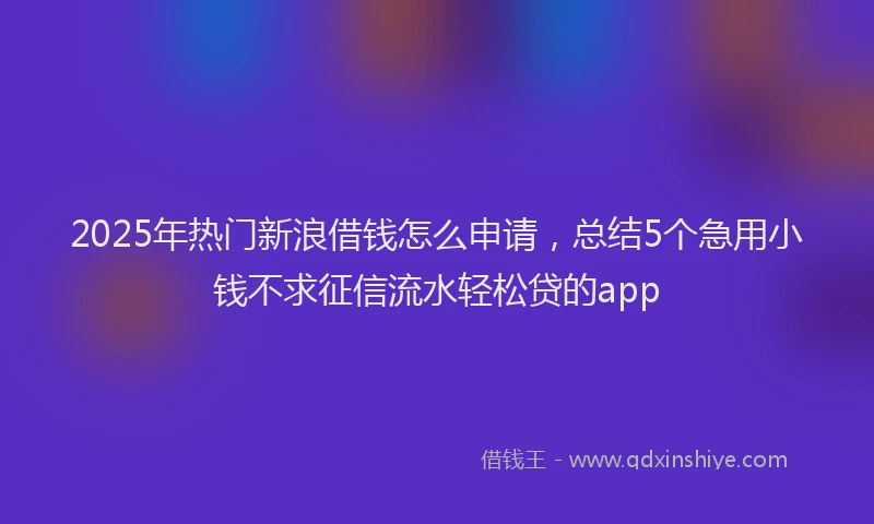 2025年热门新浪借钱怎么申请，总结5个急用小钱不求征信流水轻松贷的app