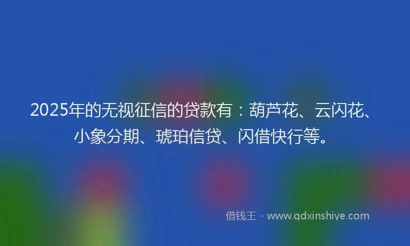 2025年的无视征信的贷款有：葫芦花、云闪花、小象分期、琥珀信贷、闪借快行等。