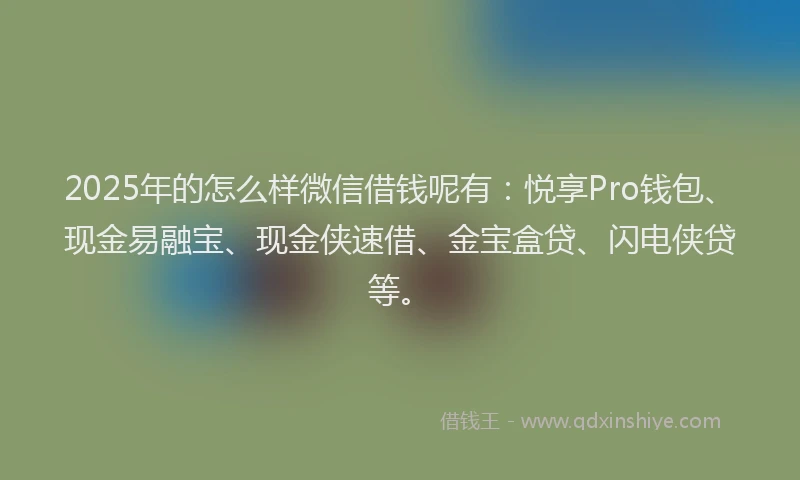 2025年的怎么样微信借钱呢有：悦享Pro钱包、现金易融宝、现金侠速借、金宝盒贷、闪电侠贷等。
