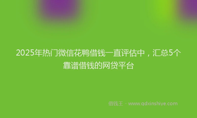 2025年热门微信花鸭借钱一直评估中，汇总5个靠谱借钱的网贷平台