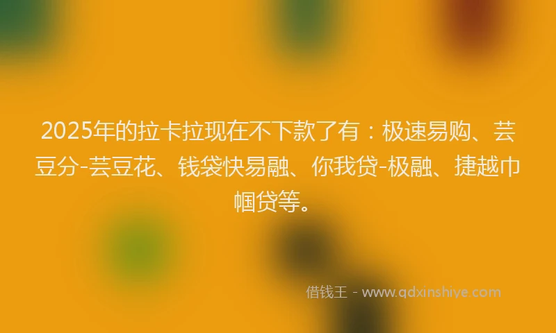 2025年的拉卡拉现在不下款了有：极速易购、芸豆分-芸豆花、钱袋快易融、你我贷-极融、捷越巾帼贷等。