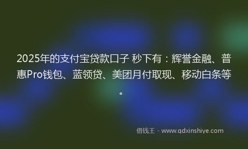 2025年的支付宝贷款口子 秒下有：辉誉金融、普惠Pro钱包、蓝领贷、美团月付取现、移动白条等。