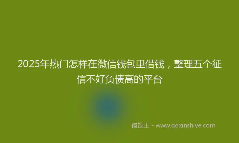2025年热门怎样在微信钱包里借钱，整理五个征信不好负债高的平台