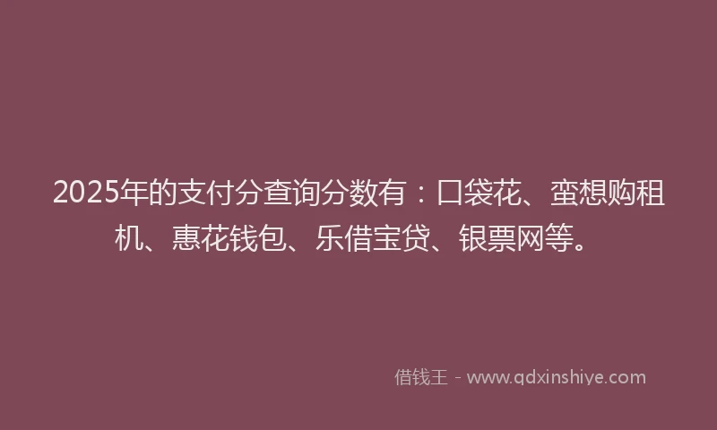2025年的支付分查询分数有：口袋花、蛮想购租机、惠花钱包、乐借宝贷、银票网等。