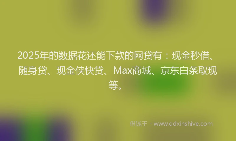 2025年的数据花还能下款的网贷有：现金秒借、随身贷、现金侠快贷、Max商城、京东白条取现等。
