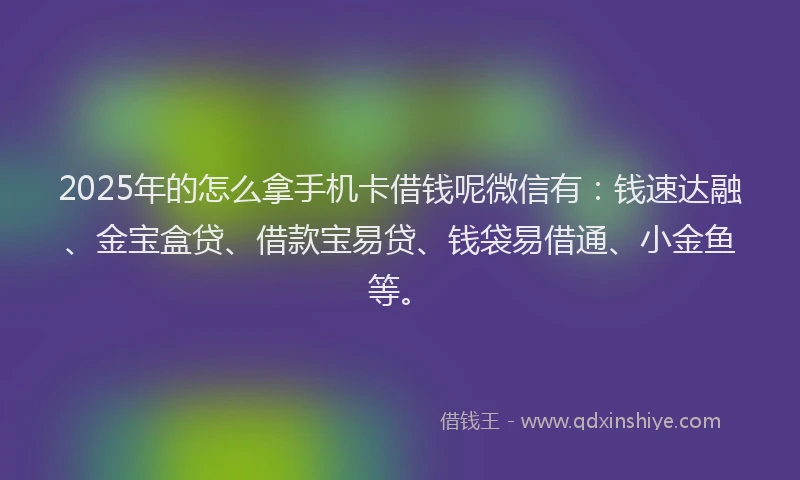 2025年的怎么拿手机卡借钱呢微信有：钱速达融、金宝盒贷、借款宝易贷、钱袋易借通、小金鱼等。