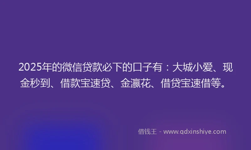 2025年的微信贷款必下的口子有：大城小爱、现金秒到、借款宝速贷、金瀛花、借贷宝速借等。