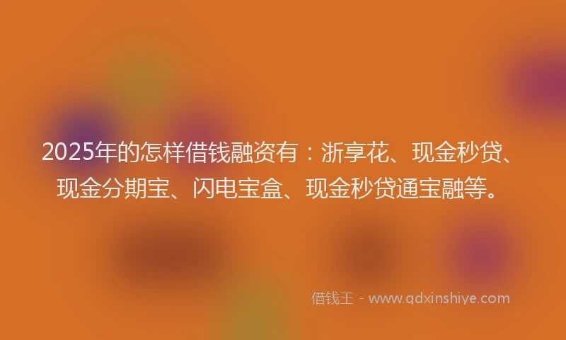 2025年的怎样借钱融资有：浙享花、现金秒贷、现金分期宝、闪电宝盒、现金秒贷通宝融等。