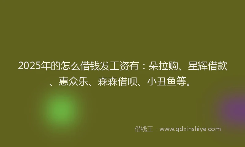 2025年的怎么借钱发工资有：朵拉购、星辉借款、惠众乐、森森借呗、小丑鱼等。