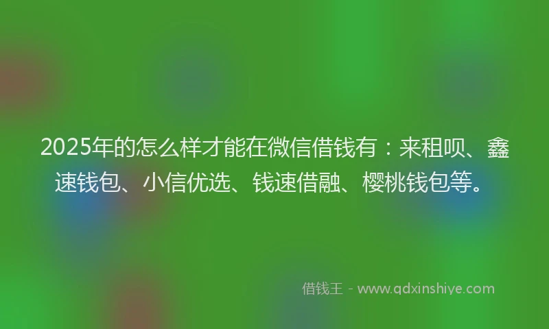 2025年的怎么样才能在微信借钱有：来租呗、鑫速钱包、小信优选、钱速借融、樱桃钱包等。