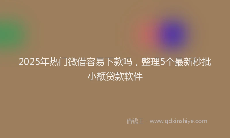 2025年热门微借容易下款吗，整理5个最新秒批小额贷款软件