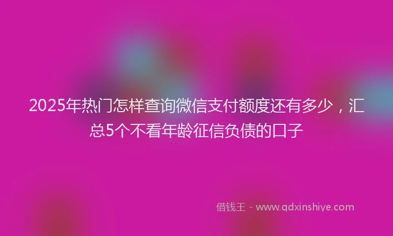 2025年热门怎样查询微信支付额度还有多少，汇总5个不看年龄征信负债的口子