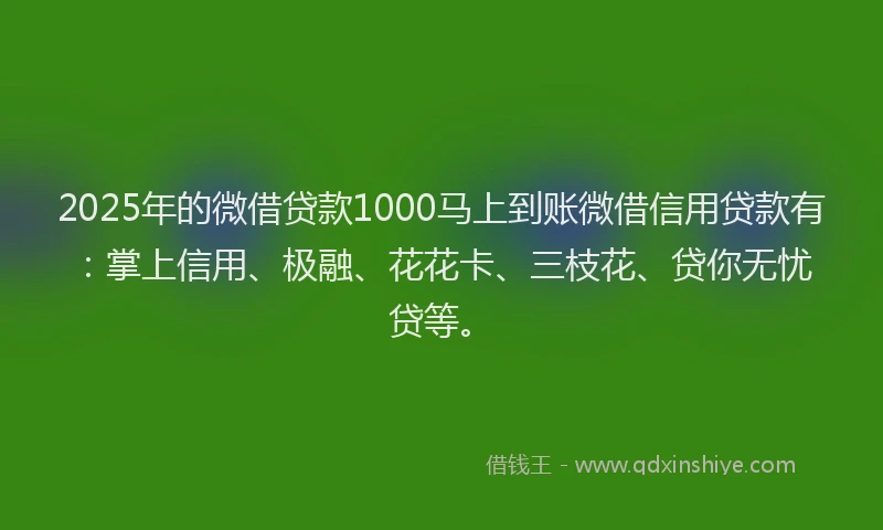 2025年的微借贷款1000马上到账微借信用贷款有：掌上信用、极融、花花卡、三枝花、贷你无忧贷等。