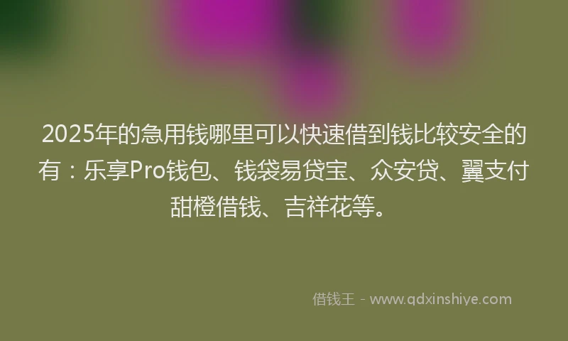 2025年的急用钱哪里可以快速借到钱比较安全的有：乐享Pro钱包、钱袋易贷宝、众安贷、翼支付甜橙借钱、吉祥花等。