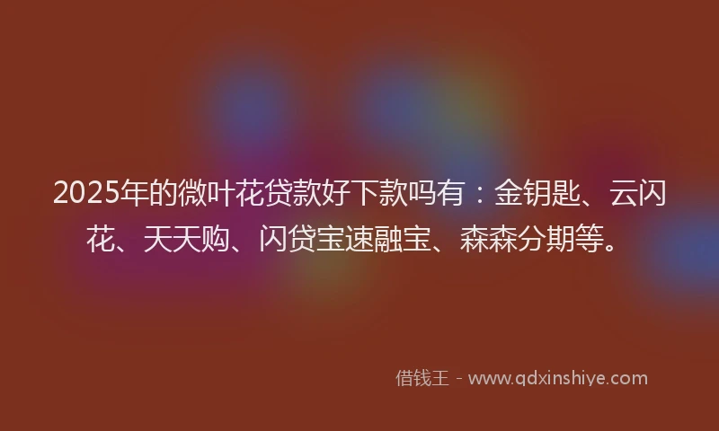 2025年的微叶花贷款好下款吗有：金钥匙、云闪花、天天购、闪贷宝速融宝、森森分期等。