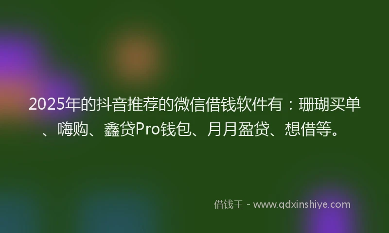 2025年的抖音推荐的微信借钱软件有：珊瑚买单、嗨购、鑫贷Pro钱包、月月盈贷、想借等。