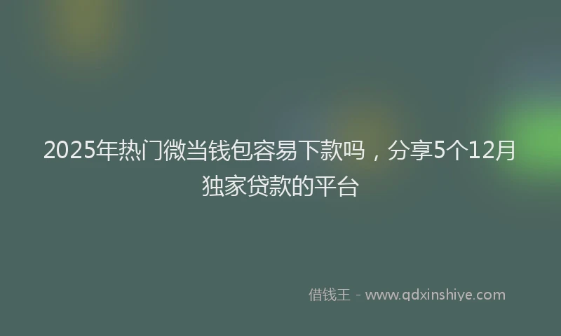 2025年热门微当钱包容易下款吗，分享5个12月独家贷款的平台