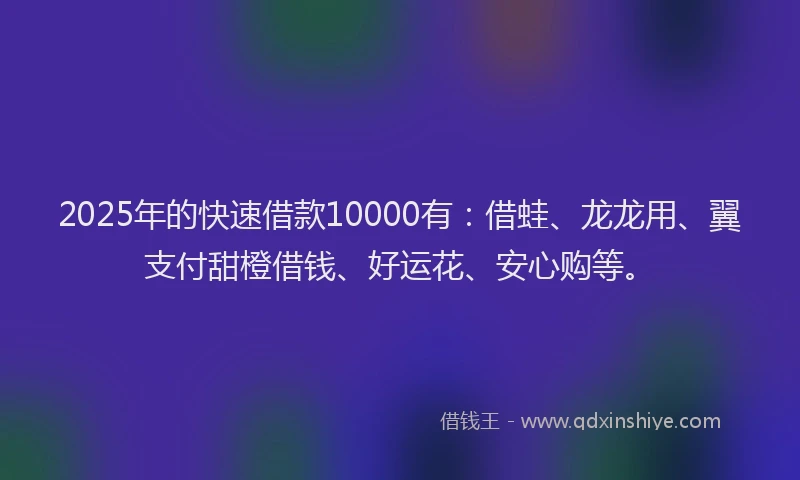 2025年的快速借款10000有：借蛙、龙龙用、翼支付甜橙借钱、好运花、安心购等。