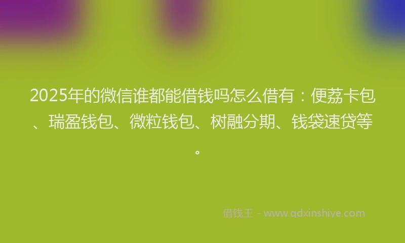 2025年的微信谁都能借钱吗怎么借有：便荔卡包、瑞盈钱包、微粒钱包、树融分期、钱袋速贷等。