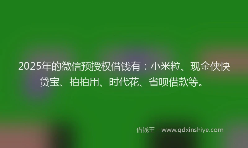 2025年的微信预授权借钱有：小米粒、现金侠快贷宝、拍拍用、时代花、省呗借款等。