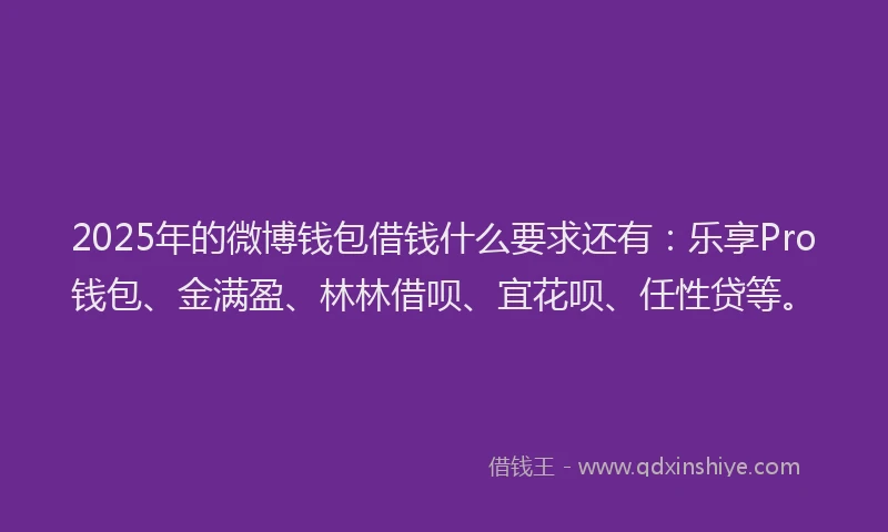 2025年的微博钱包借钱什么要求还有：乐享Pro钱包、金满盈、林林借呗、宜花呗、任性贷等。