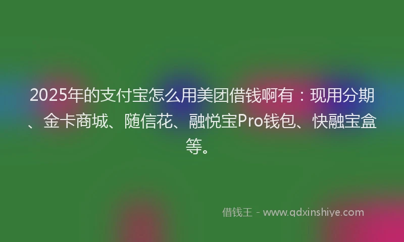 2025年的支付宝怎么用美团借钱啊有：现用分期、金卡商城、随信花、融悦宝Pro钱包、快融宝盒等。