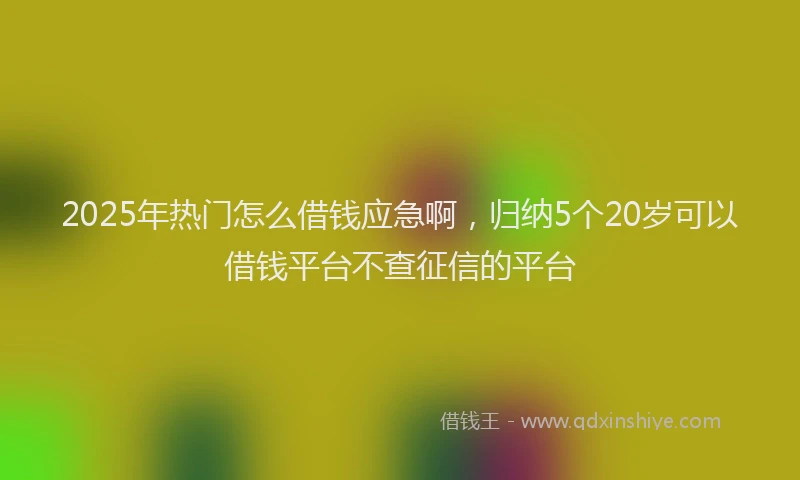 2025年热门怎么借钱应急啊，归纳5个20岁可以借钱平台不查征信的平台