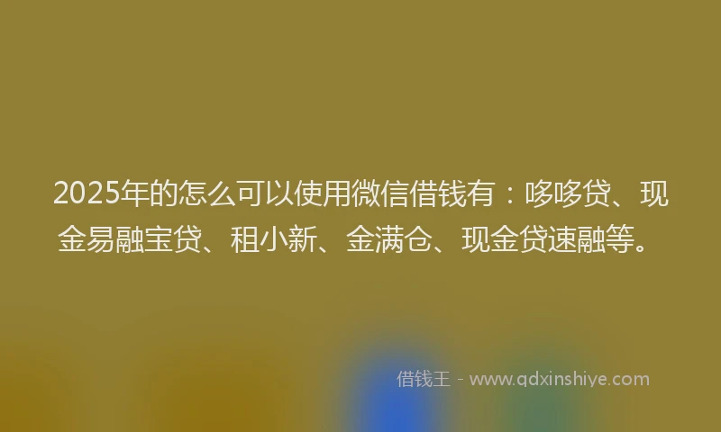 2025年的怎么可以使用微信借钱有：哆哆贷、现金易融宝贷、租小新、金满仓、现金贷速融等。