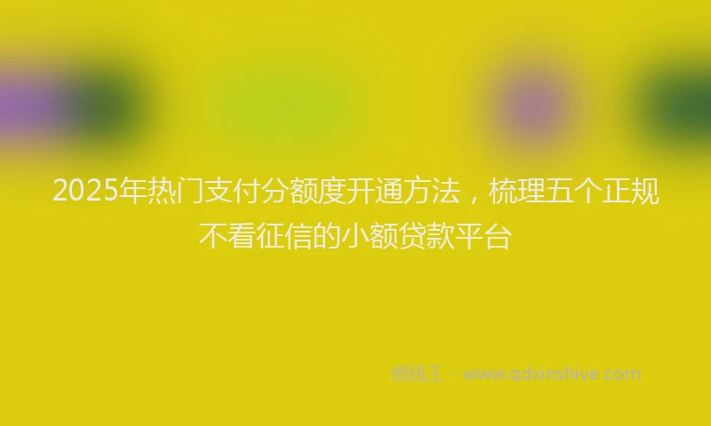 2025年热门支付分额度开通方法，梳理五个正规不看征信的小额贷款平台
