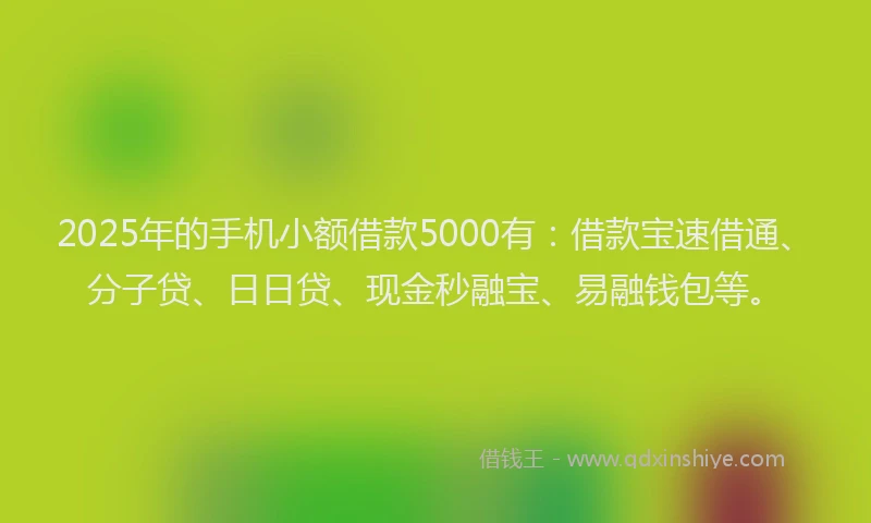 2025年的手机小额借款5000有：借款宝速借通、分子贷、日日贷、现金秒融宝、易融钱包等。